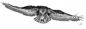 Silence - Great Horn Owl by Stuart Arnett